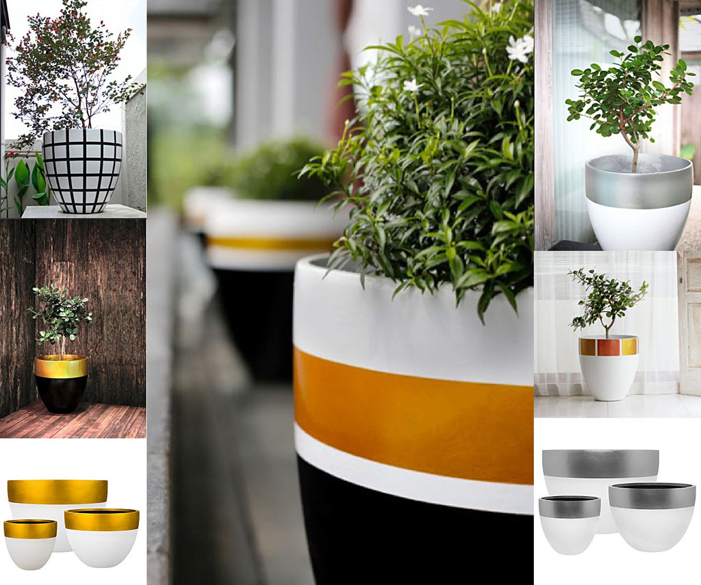 New Pots for Old, Gardens and Terraces in need of a makeover by Spa Living
