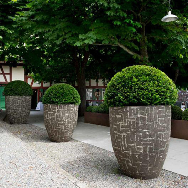 Sgraffito Planter - Spa Living