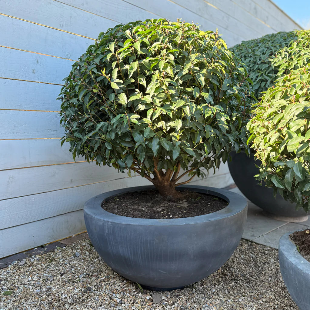 Luna Planters - Spa Living 