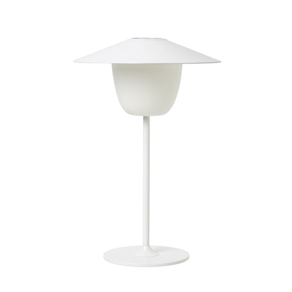 ANI Table Lamp